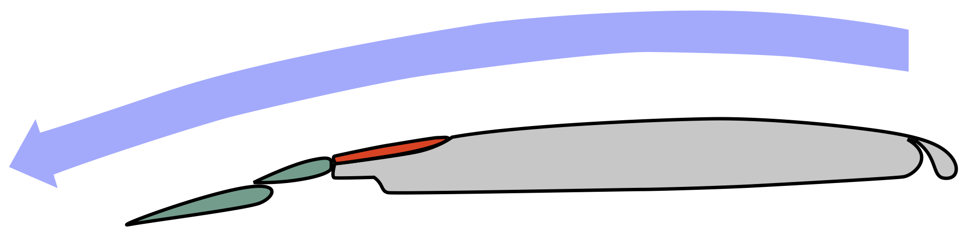 wing diagram