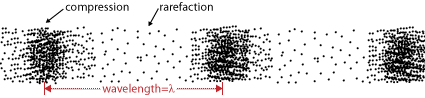 Longitudinal Wave Anatomy